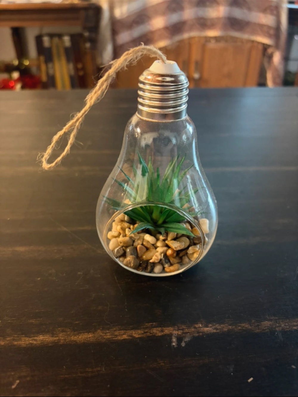 Succulent Decoration